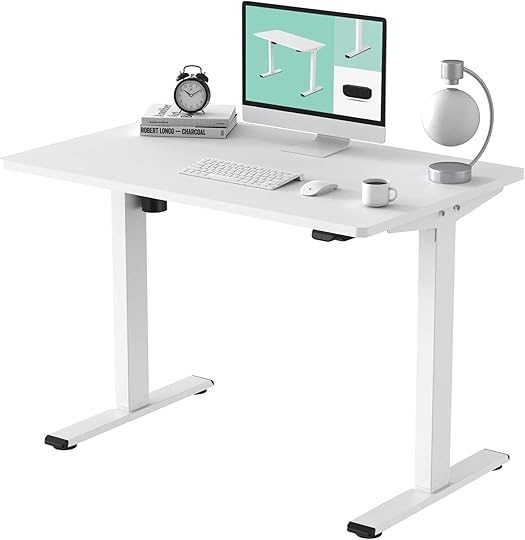 FLEXISPOT Electric Standing Desk