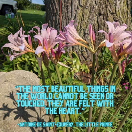 “The most beautiful things in the world cannot be seen or touched, they are felt with the heart.” -Antoine de Saint-Exupéry, The Little Prince