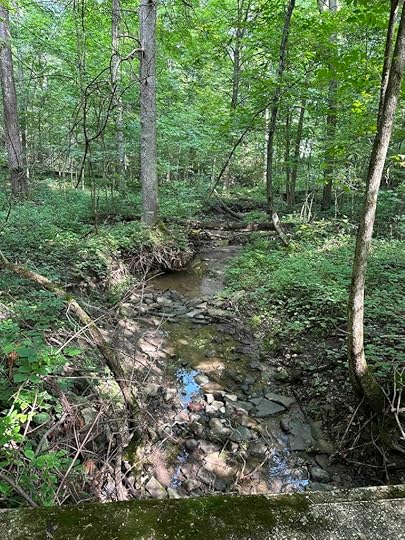 the creek at Pehkokia woods