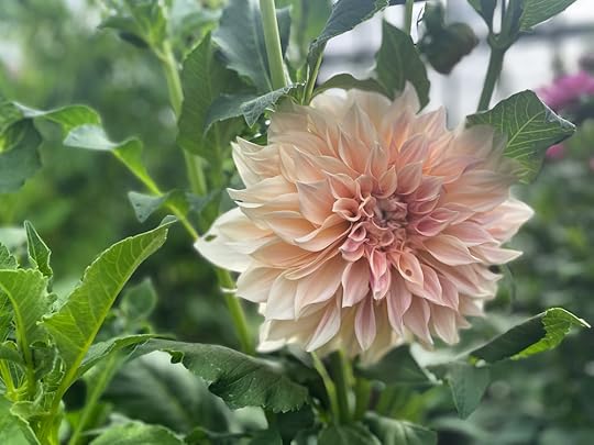 thesimplyluxuriouslife.com | The Simply Luxurious Life