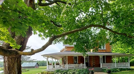 Stafford House front and side yard 2021
