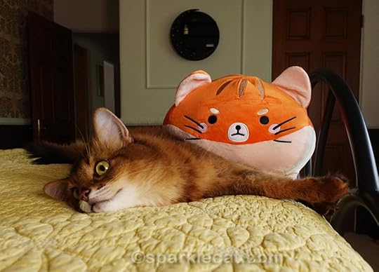 It's Sunday, and it's time for some photo silliness with Summer's latest batch of funny outtakes!