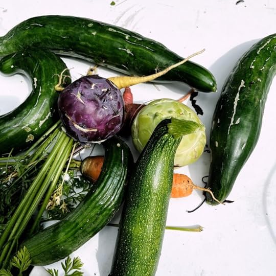 Frisch geerntetes Gemüse aus dem Garten