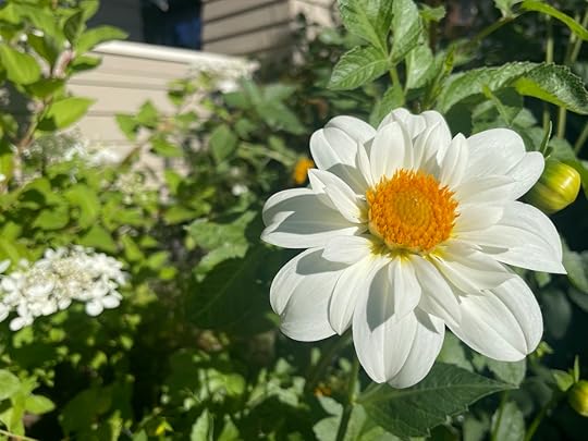 thesimplyluxuriouslife.com | The Simply Luxurious Life