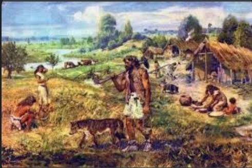 Screenshot-20230815-230413-Google