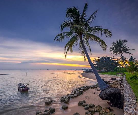 palm tree and beach at batam island at sundown