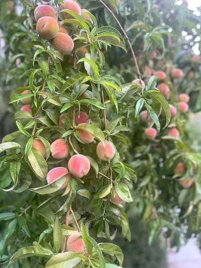 thesimplyluxuriouslife.com | The Simply Luxurious Life