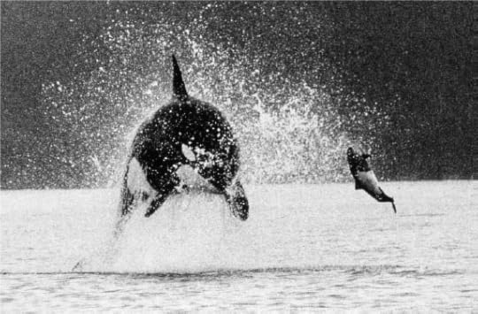 into-great-silence-0