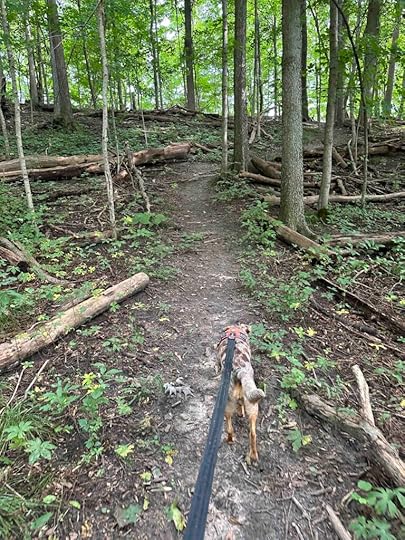 Lonidaw Nature Preserve