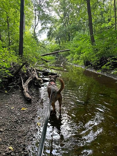 Lonidaw Nature Preserve