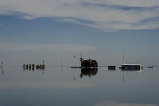 A watery landscape.