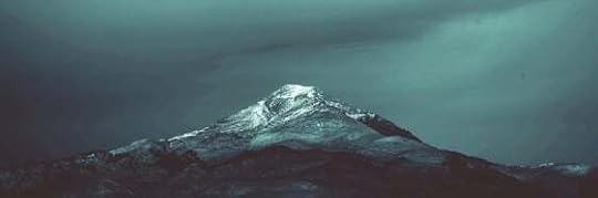 Recensione di Vieni tu giorno nella notte di Cinzia Leone