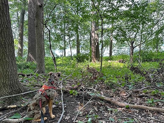Crooked Lake Nature Preserve