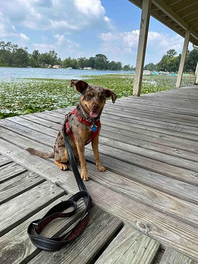 checking out Crooked Lake