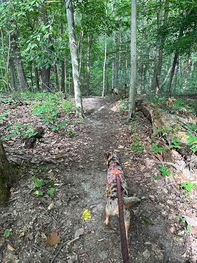 Finally entering the woods at Robb Hidden Canyon