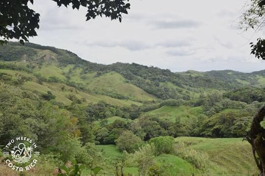 Farm fields Monteverde