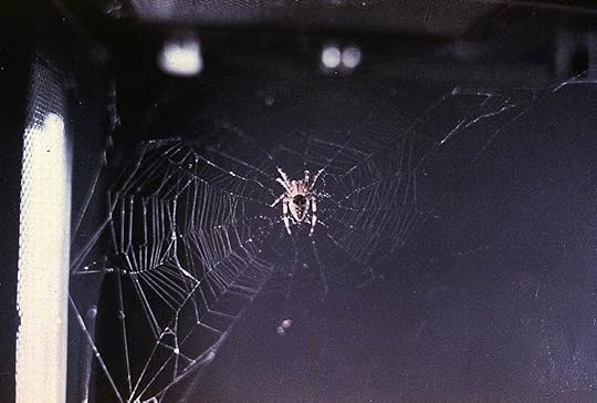Arabella web aboard second Skylab mission