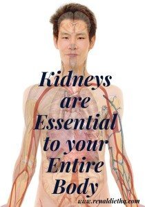 Three Reasons Your Kidneys Are Essential To Your Entire Body