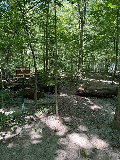 trails at Fido's Forest