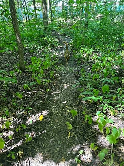 a little off roading