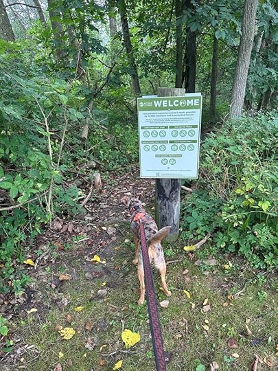 Entrance to the forest