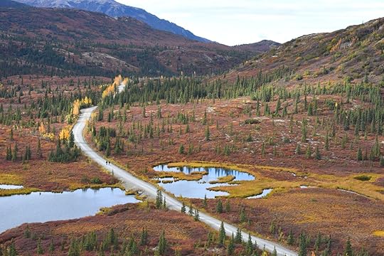 road in denali national park