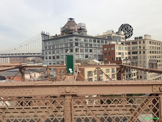 A visitation arrives in Brooklyn