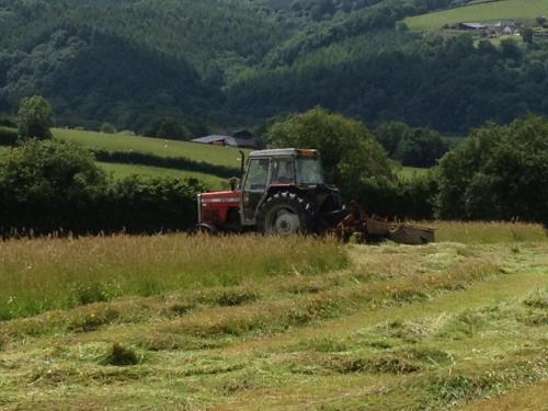Devon field with tractor harvesting
