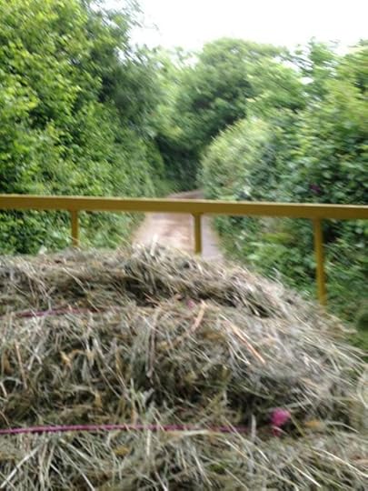 Loaded tractor proceeding down a Devon country lane