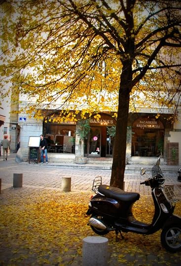 Autumn fall leaves salon de the in lyon france