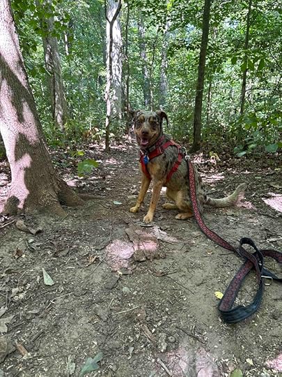 Sunny all smiles at Bicentennial Woods