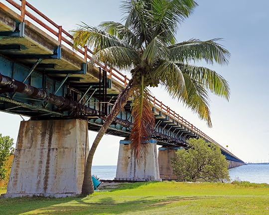 pigeon key bridge and tre