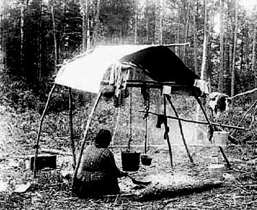 Ojibwa Woman Cooking, An Ethnographic Biography of Paul Peter Buffalo