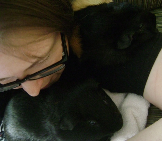Rachel E Smith and her guinea pigs Salem and Hen Wen