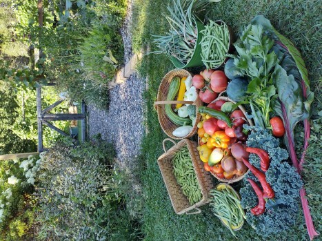 Vegetable harvesting spread out in front of a garden gate