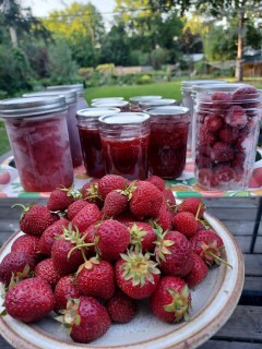 Fresh strawberries in foreground with jars of frozen berries in jars and strawberry jam in jars