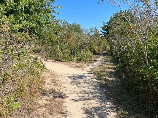 Will you celebrate or regret at the end?