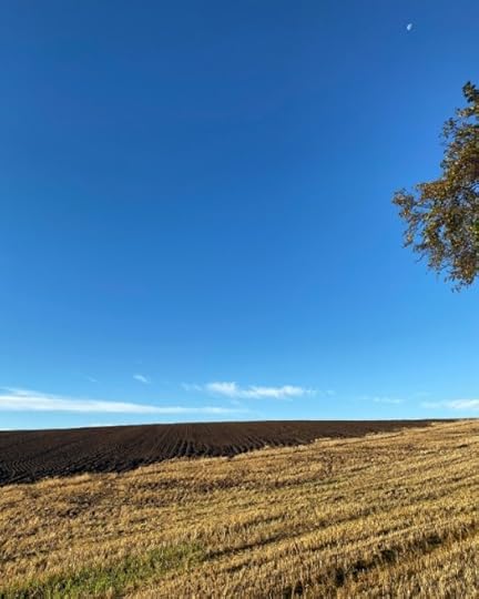 golden blue autumn