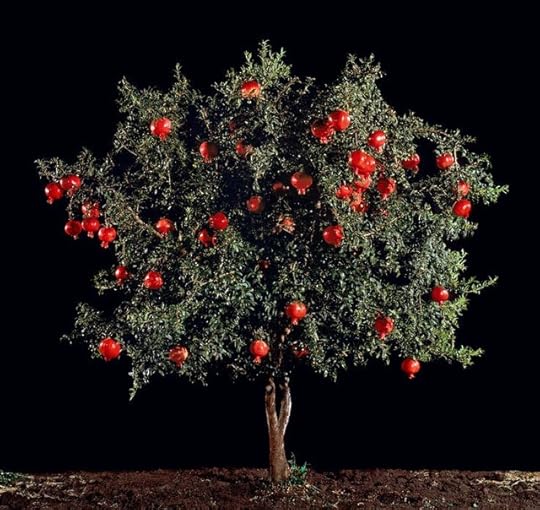 ff1cae0658b5fd6ecff54bfc69a96e32