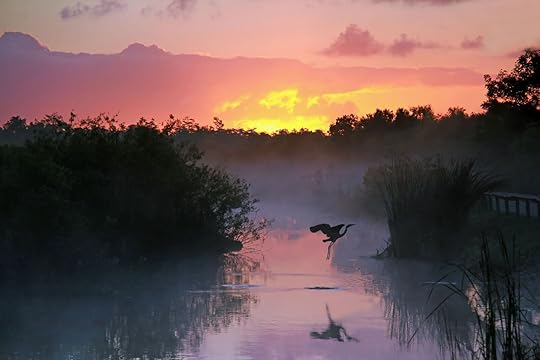 sunset in the everglades