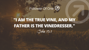 Where Life Comes From – John 15:1