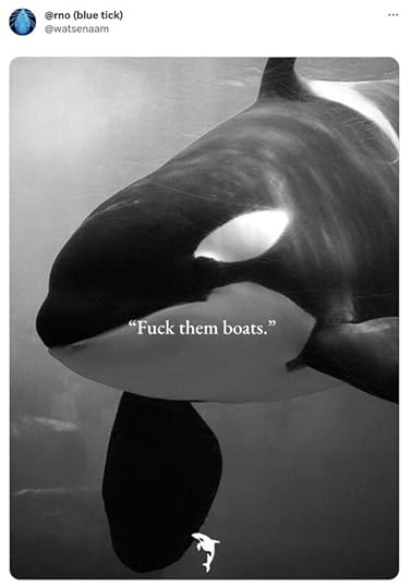 orca-memes-3