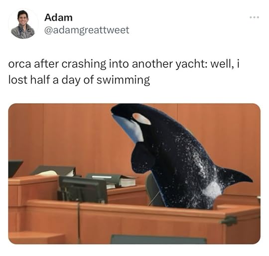person-adam-adamgreattweet-orca-after-crashing-into-another-yacht-well-lost-half-day-swimming