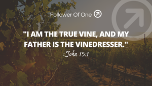 Who Our Life Is For – John 15:1