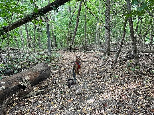 Sunny at Vandolah Nature Preserve