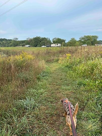 field bordering I-69
