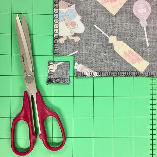 Nancy Zieman Productions 2019 I Sew For Fun Sewing Challenge Cinch Sack Sewing Project