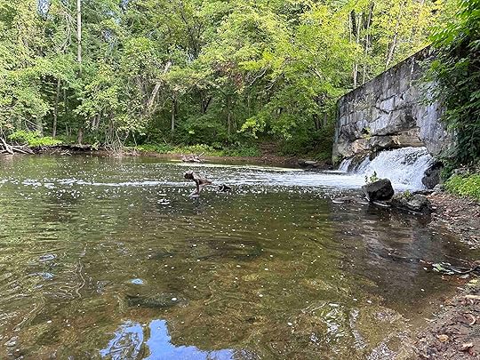 Benton - River Preserve County Park