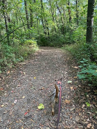 Benton - River Preserve County Park Hydro trail