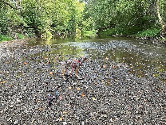 James P. Covell Nature Preserve